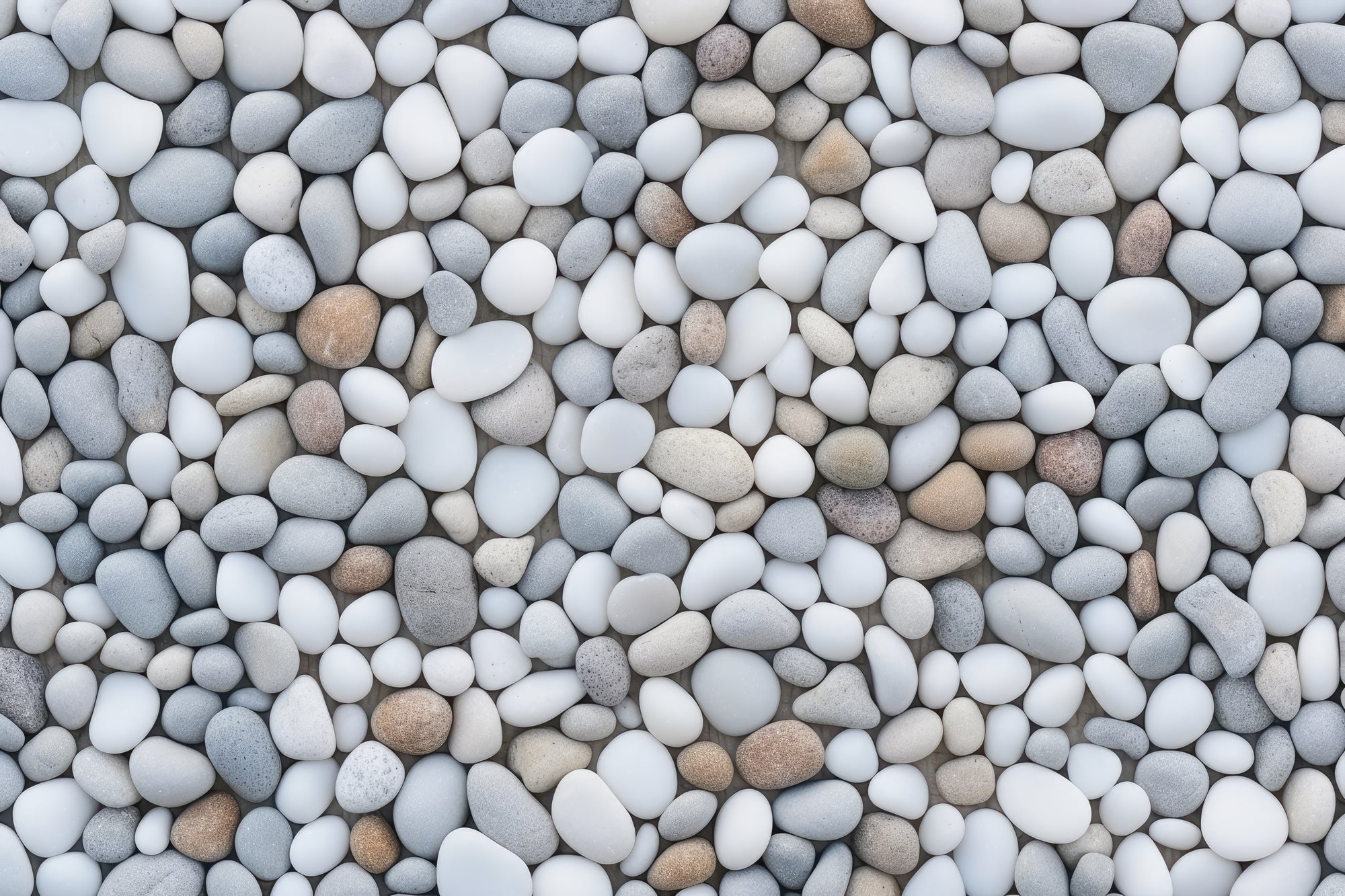 Pebbles - Pebble Glue