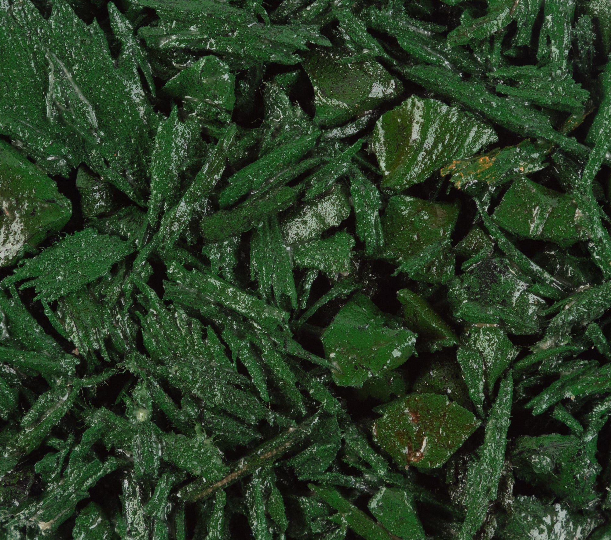 Rubber Mulch & Pebble Glue Kit | Forest Green | 1sqm