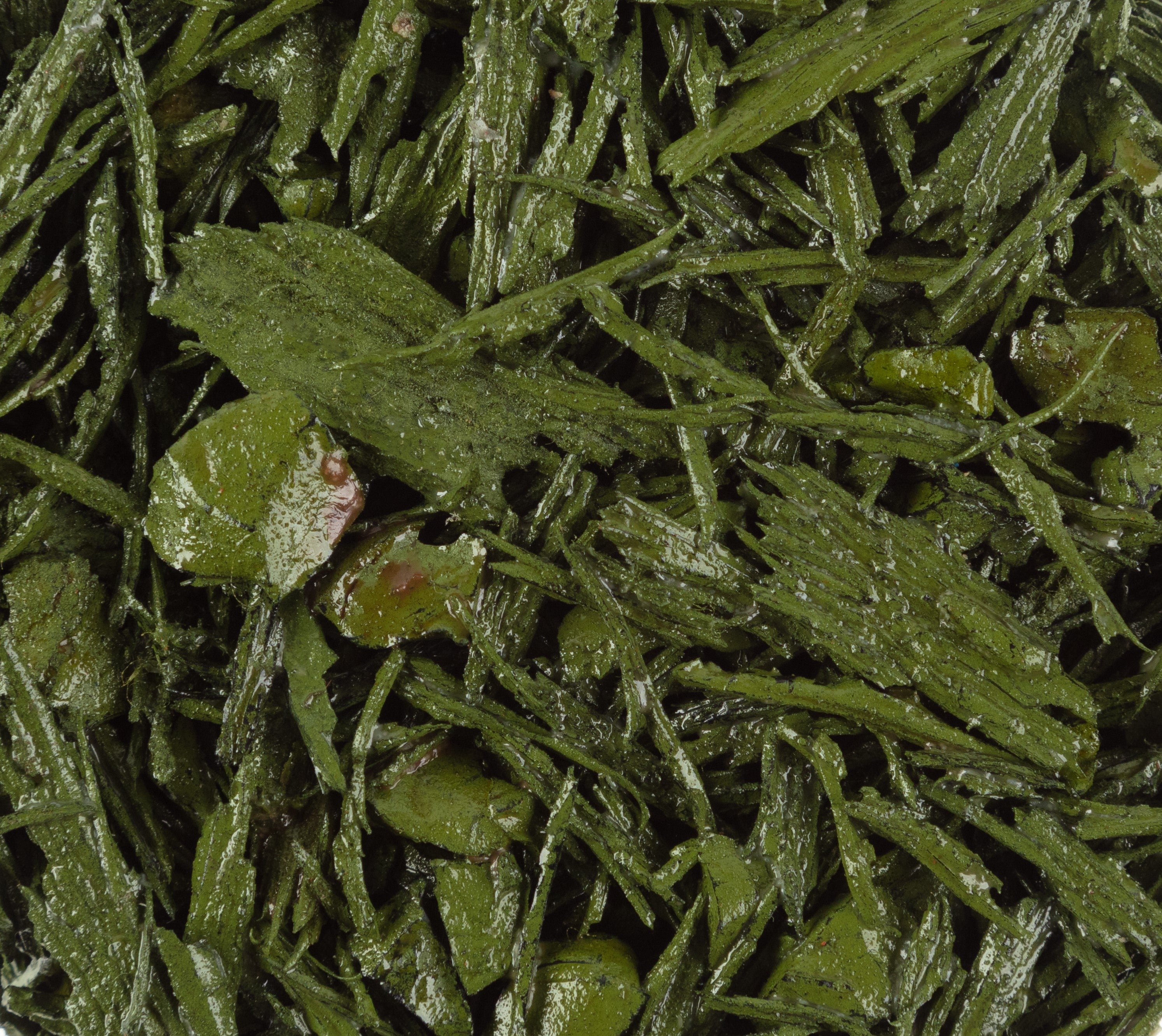 Rubber Mulch & Pebble Glue Kit | Spring Green | 1sqm